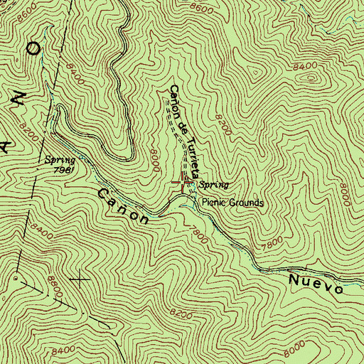 Topographic Map of New Canyon Number Two Spring, NM