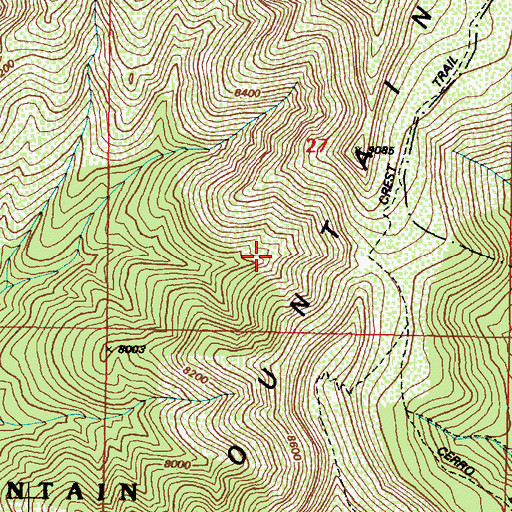Topographic Map of Tilio Spring, NM