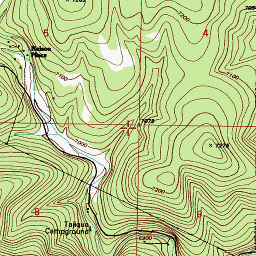 Topographic Map of Tejano Spring, NM