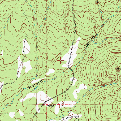 Topographic Map of Antelope Trick Tank, NM