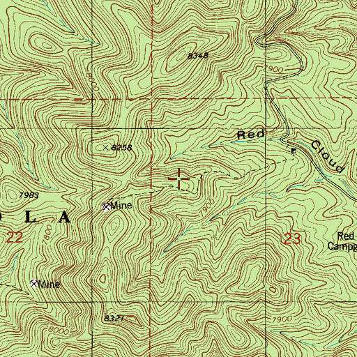 Topographic Map of Iron Mine Trick Tank, NM