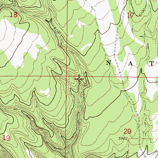Topographic Map of Little Sand Spring, NM