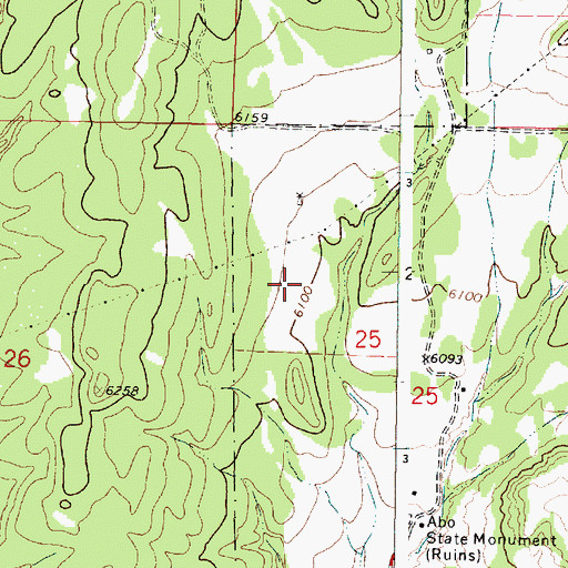 Topographic Map of Ansley Windmill, NM