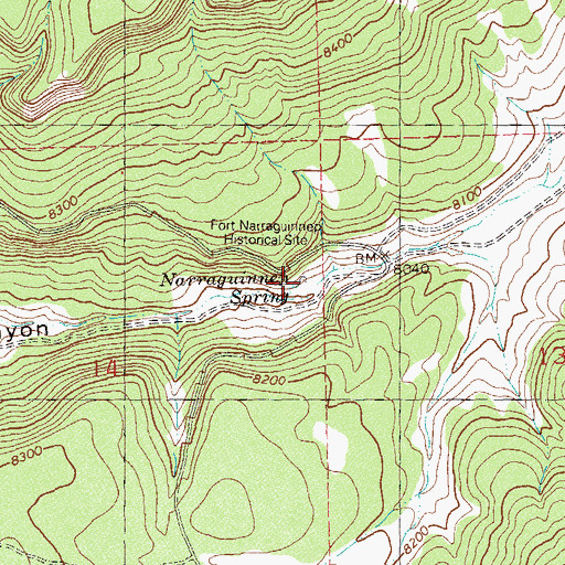 Topographic Map of Narraguinnep Spring, CO