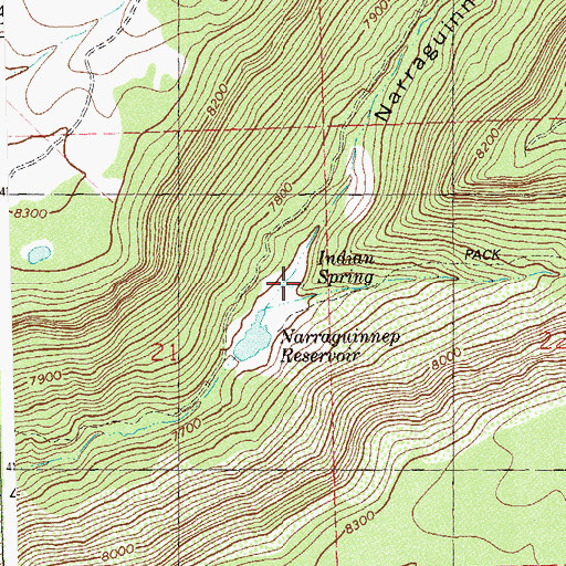 Topographic Map of Indian Spring, CO