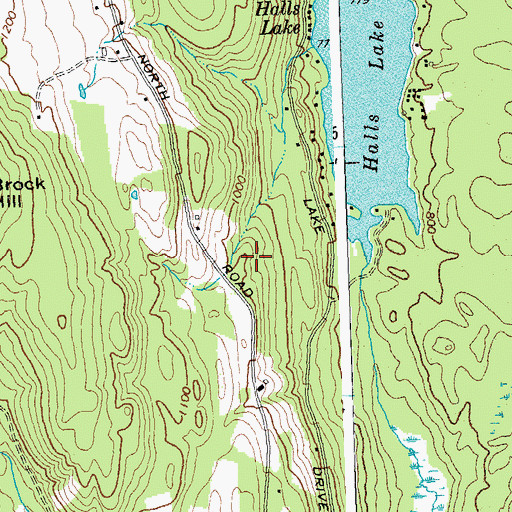 Topographic Map of Halls Lake, VT