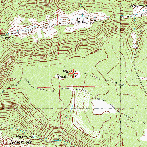 Topographic Map of Buster Reservoir, CO