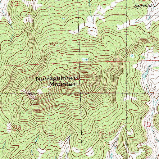 Topographic Map of Narraguinnep Mountain, CO
