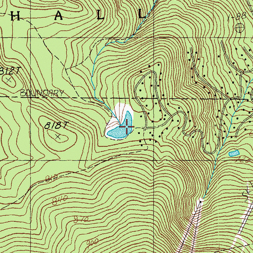 Topographic Map of Gulf Brook Reservoir, VT