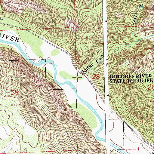Topographic Map of Salter Canyon, CO