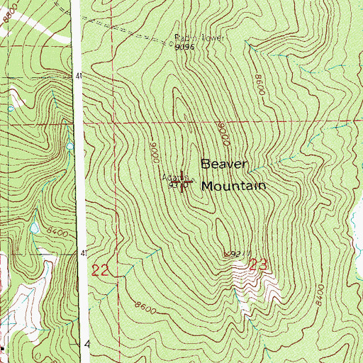 Topographic Map of Beaver Mountain, CO