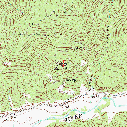 Topographic Map of Cresto Spring, CO