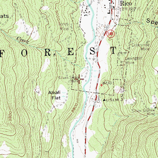 Topographic Map of Silver Swan Mine, CO