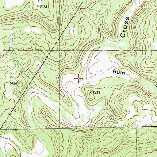 Topographic Map of Ruin Canyon, CO