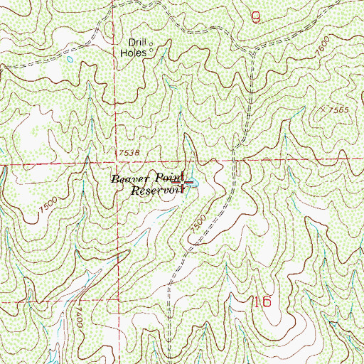 Topographic Map of Beaver Point Reservoir, CO