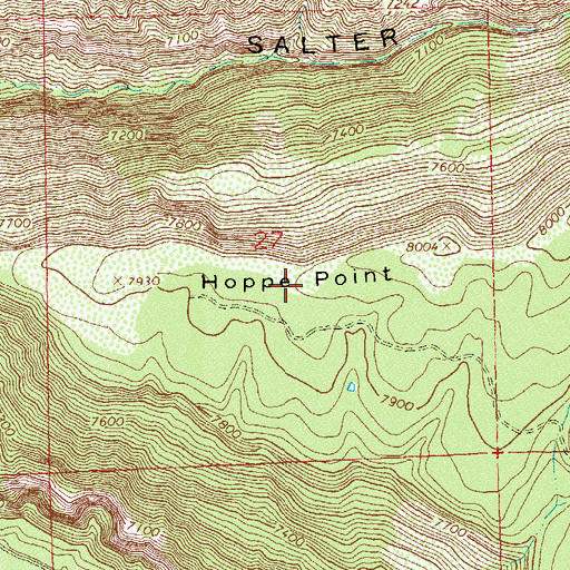 Topographic Map of Hoppe Point, CO