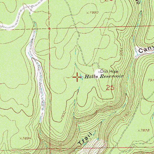 Topographic Map of Halls Reservoir, CO