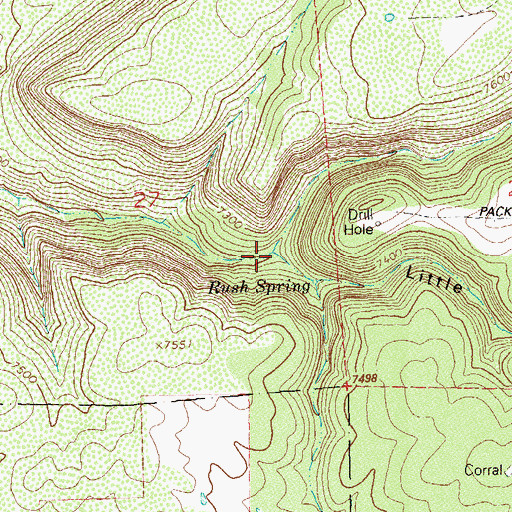 Topographic Map of Little Bean Canyon, CO