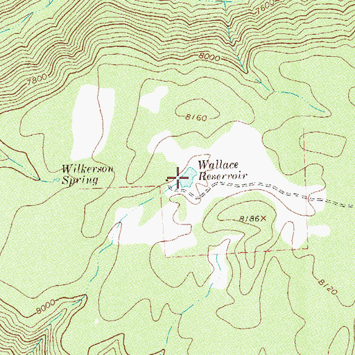 Topographic Map of Wallace Reservoir, CO