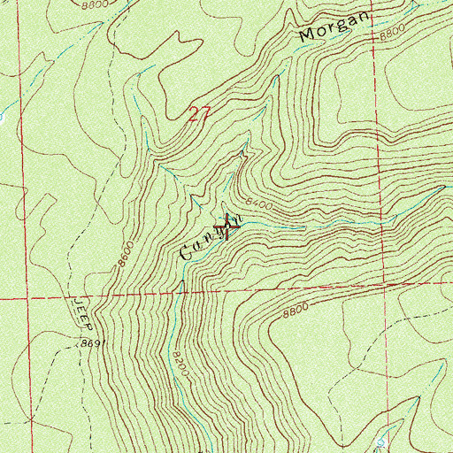 Topographic Map of Morgan Gulch, CO