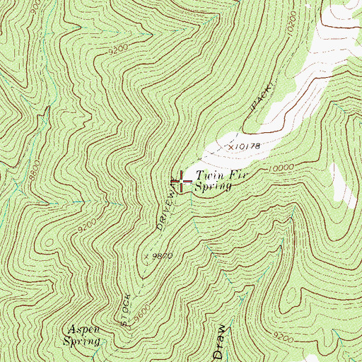 Topographic Map of Twin Fir Spring, CO