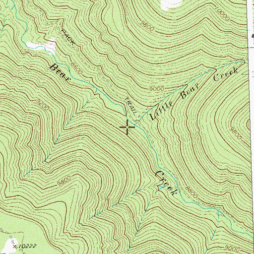 Topographic Map of Little Bear Creek, CO