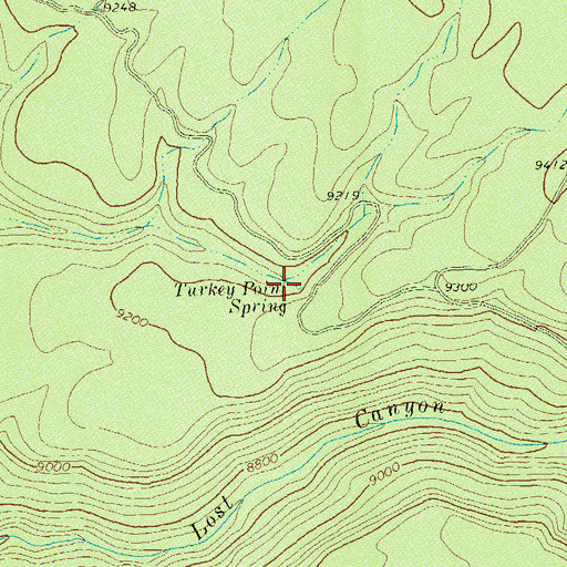 Topographic Map of Turkey Point Spring, CO