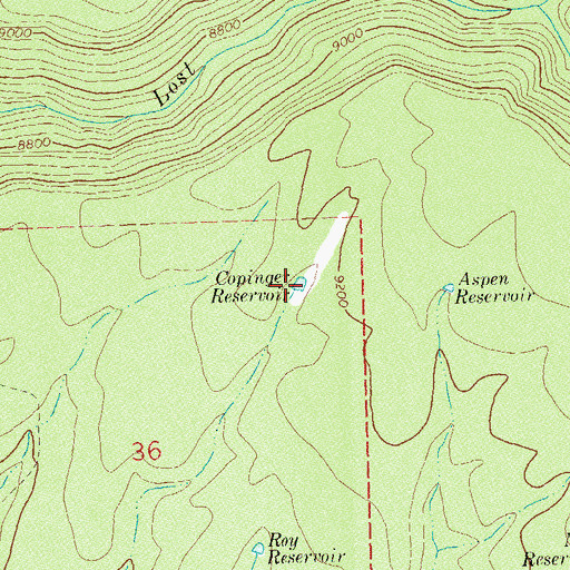 Topographic Map of Copinger Reservoir, CO