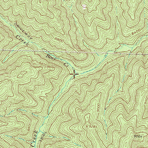 Topographic Map of Bear Creek, CO