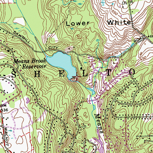 Topographic Map of Means Brook Reservoir Dam, CT