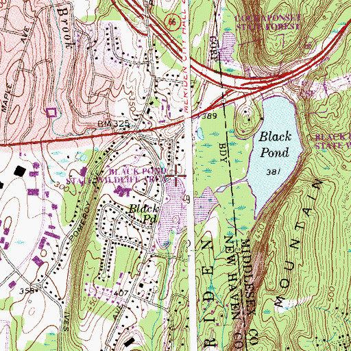 Topographic Map of Black Pond Dam, CT