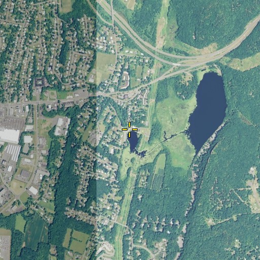 Aerial/Satellite Image of Black Pond Dam, CT