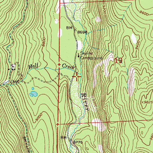 Topographic Map of Two and One Half Creek, CO