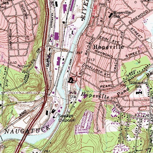 Topographic Map of Risdon Pond, CT