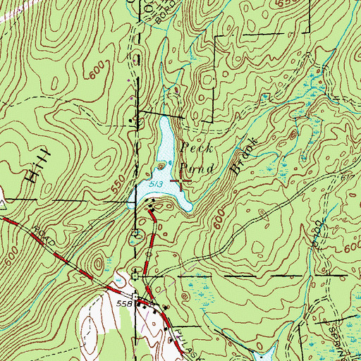 Topographic Map of Peck Pond Dam, CT