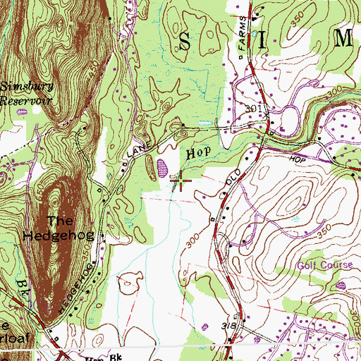 Topographic Map of Simsbury Reservoir Dam, CT