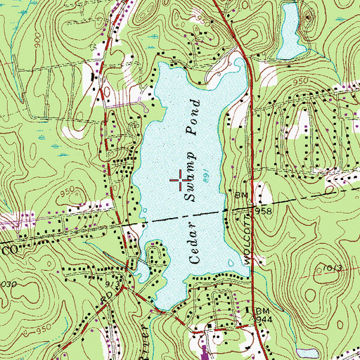 Topographic Map of Cedar Swamp Pond Dam, CT