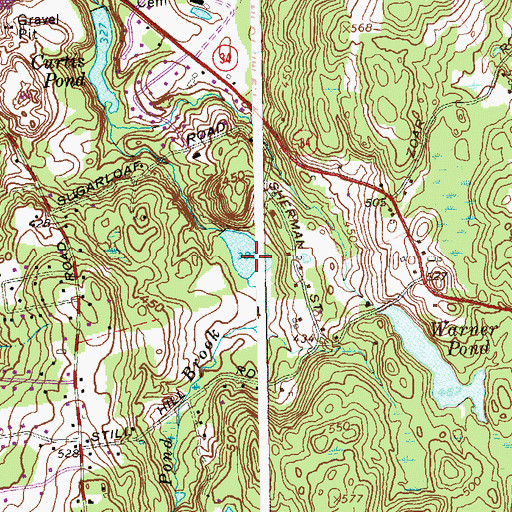 Topographic Map of Wellgoto Pond, CT