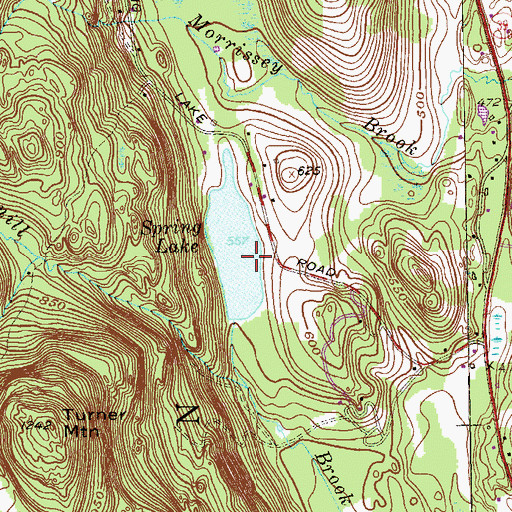 Topographic Map of Spring Lake Dam, CT