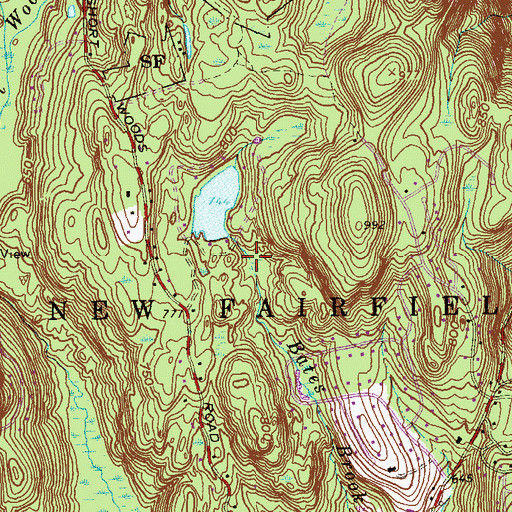 Topographic Map of Forest Lake Dam, CT