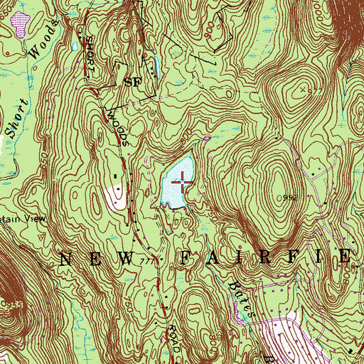 Topographic Map of Forest Lake, CT