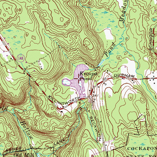 Topographic Map of Kroopa Pond Dam, CT