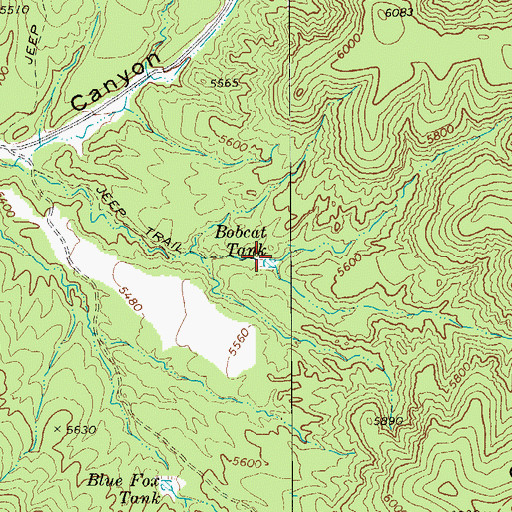 Topographic Map of Bobcat Tank, AZ