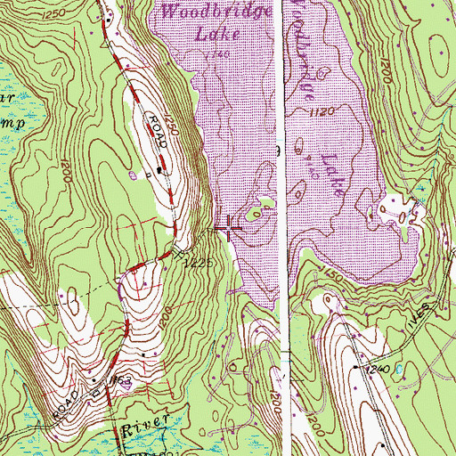 Topographic Map of Woodridge Lake Dam, CT