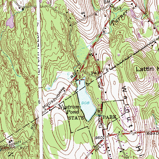 Topographic Map of Nystrom Pond Dam, CT