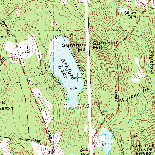 Topographic Map of Ashford Lake Dam, CT