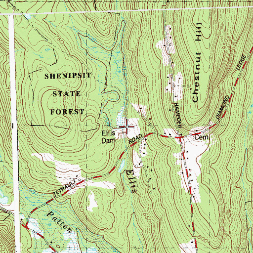 Topographic Map of Ellis Brook Reservoir, CT