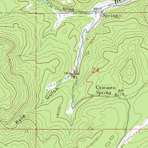 Topographic Map of Kyle Gulch, CO