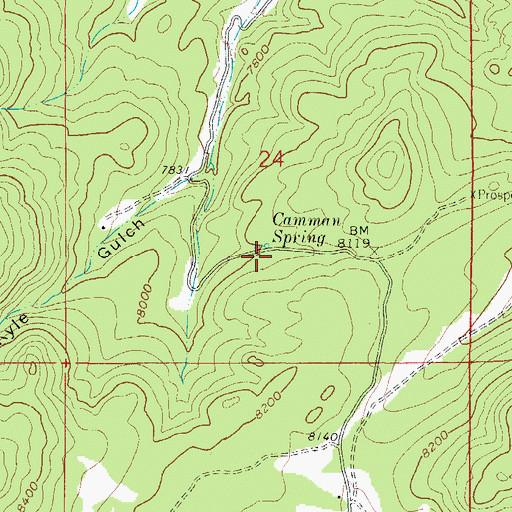 Topographic Map of Camman Spring, CO