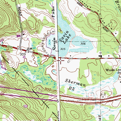 Topographic Map of Savin Lake Dam, CT